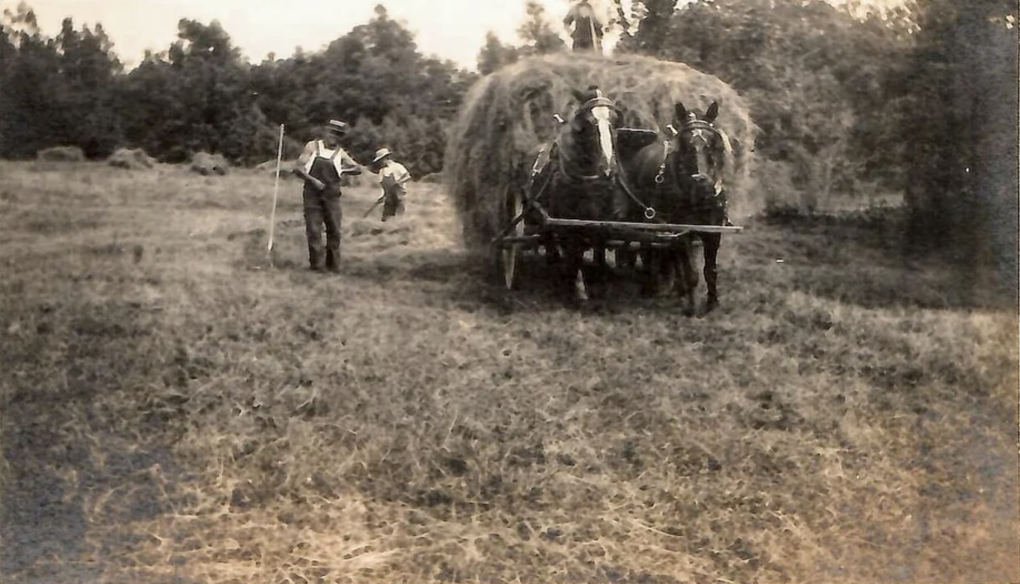 Farming in 1920's Rural America 